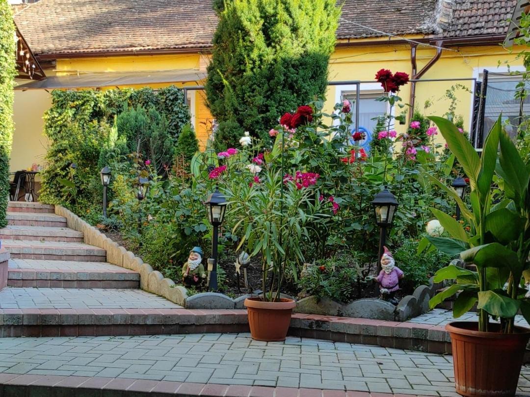 Color Home Hermannstadt Ngoại thất bức ảnh